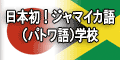 Ja-Ja �p�g���X�N�[��